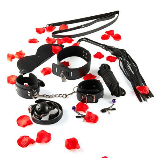 ToyJoy BDSM Starter Kit